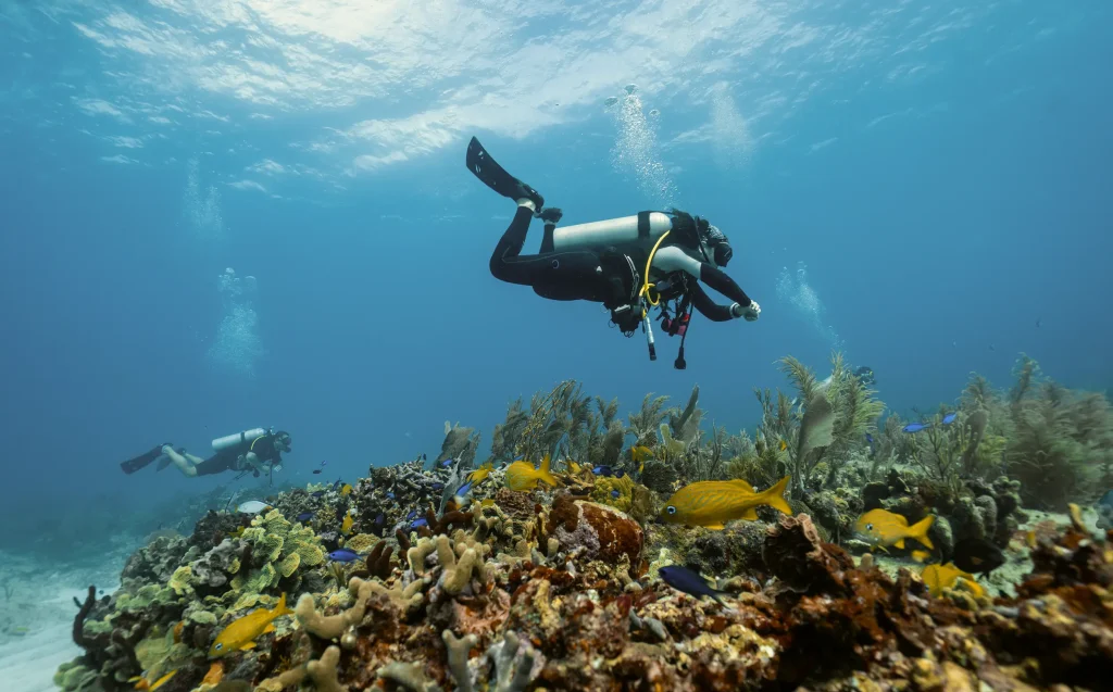 st barts diving